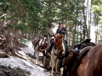 Trail Happenings, Moab Utah, Picture 4